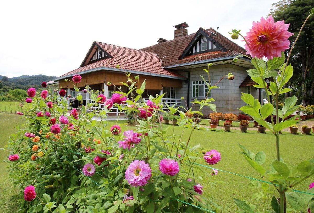 Bukit Lowick Bungalow Tanah Rata Exterior photo